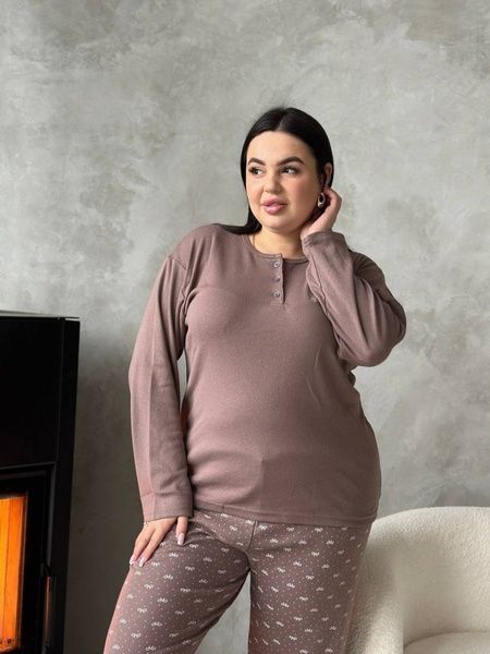 Тепла жіноча піжама PLUS SIZE з мікрофлісу DO3920-4XL фото